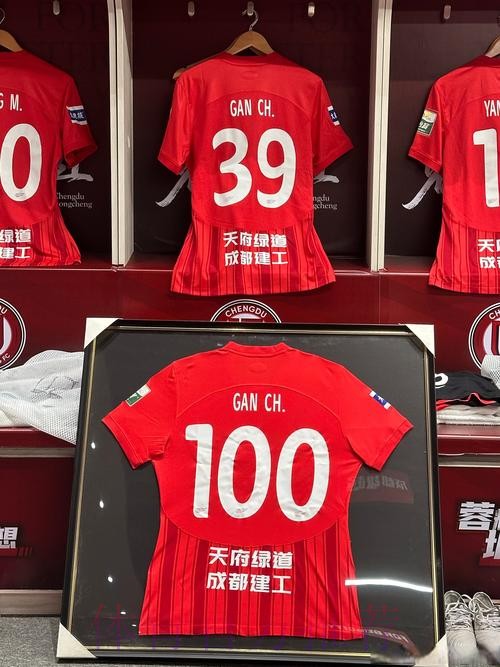 ”挑战2018,胜利2018!“成都足球有你真好 ”挑战2018,胜利2018!“成都足球有你真好